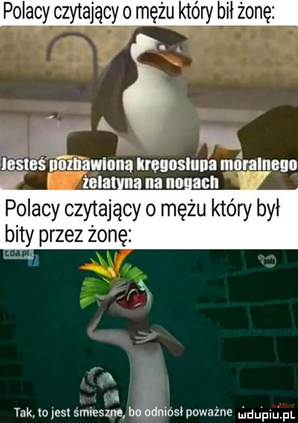 polacy czytający o mężu który bił zonę polacy czytający o mężu który był bity przez żonę. abakankami     . ą a   tak to jest śmieszne bo odniósł poważne u duciu pl