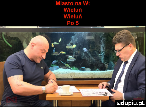 miasto na w wieluń wieluń po