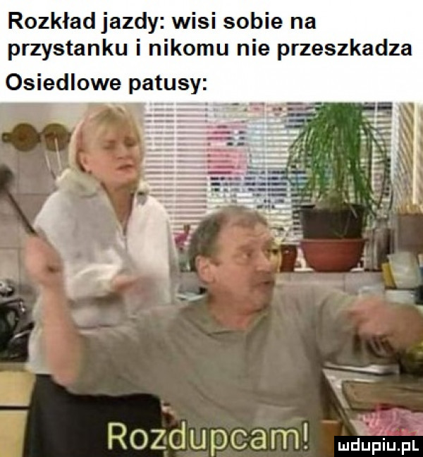 rozkład jazdy wisi sobie na przystanku i nikomu nie przeszkadza osiedlowe patusy   r   z d li p c a m pr