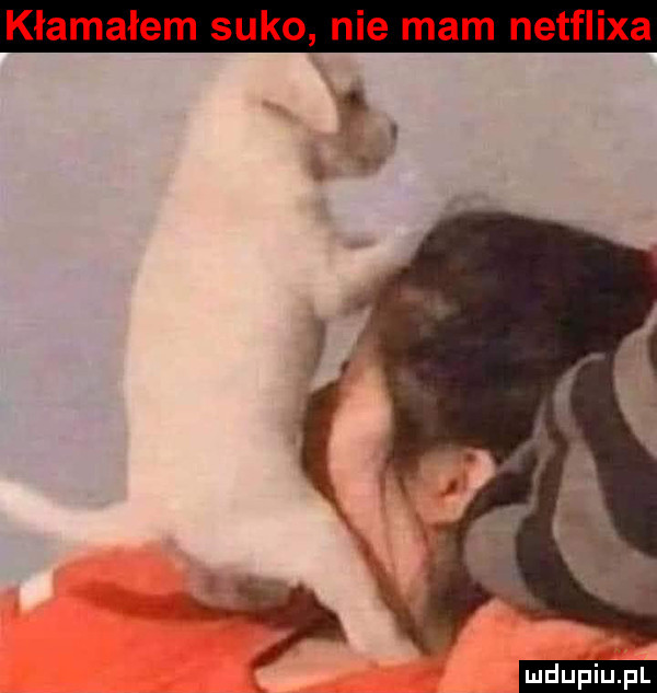 kłamałem suko nie mam netflixa