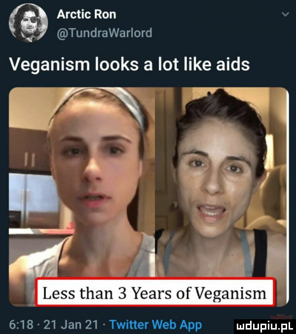 arctic ron tundrawarlord veganism looks a lot like aids less tran   yeats of veganism         jan    twitter web aap