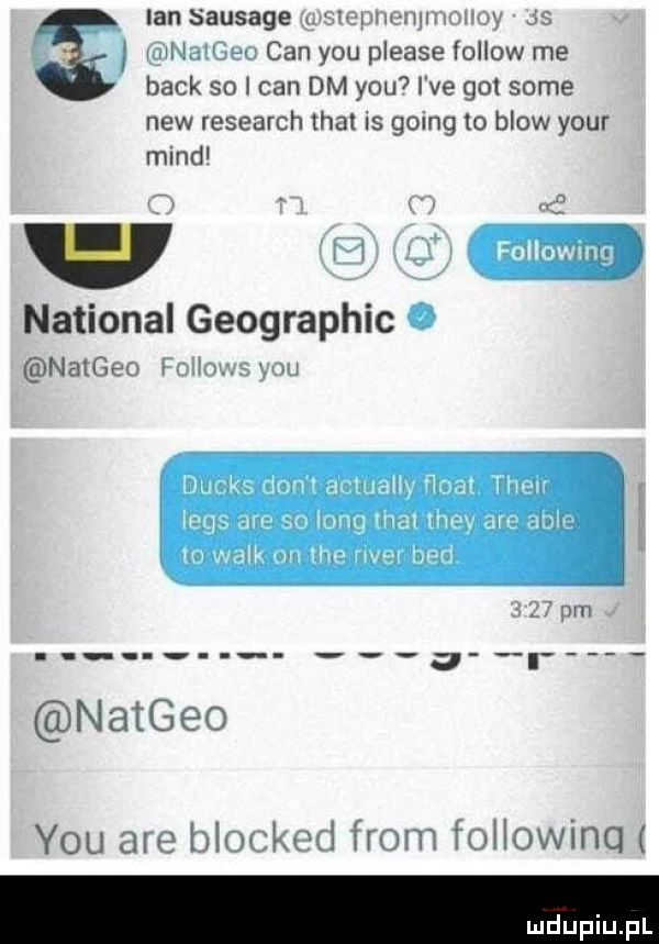 ian sausage meluwmlrn ilulv js rdwnalge c cen y-u please fellow me beck so i cen dm y-u i ve got some naw research trat ls going to blow your mend w l tą lea follownng national geographic. natgeo fam nu ducks dm arluallv float tee leks are so long ma tee v are hole l to walk on hp we hdd n pm u natgeo y-u are blocked from followinm