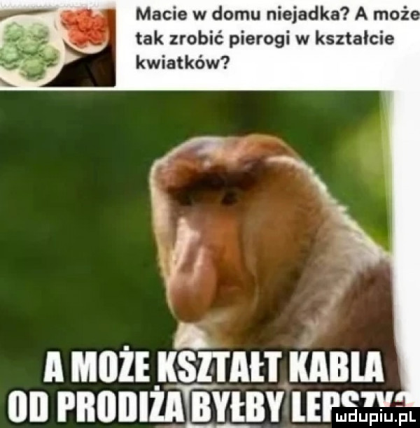 macie w domu niejadka a maż tak zrobić pierogi w kształcie kwiatków a może kahał i kabla iii pbiiiiiiaibyiby   h