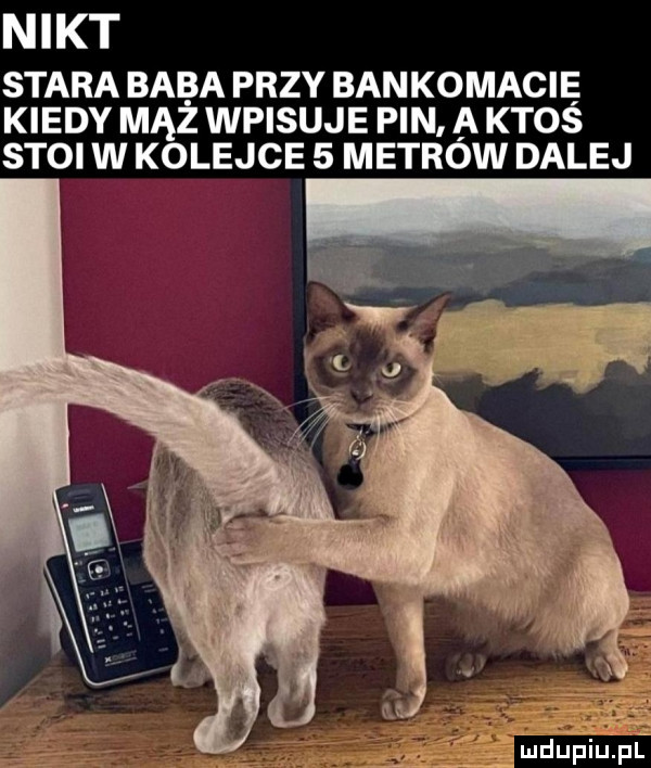 nikt stara baba przy bankomacię kiedy mhz wpisuje pin a ktos stoi w kolejce   metrow dalej