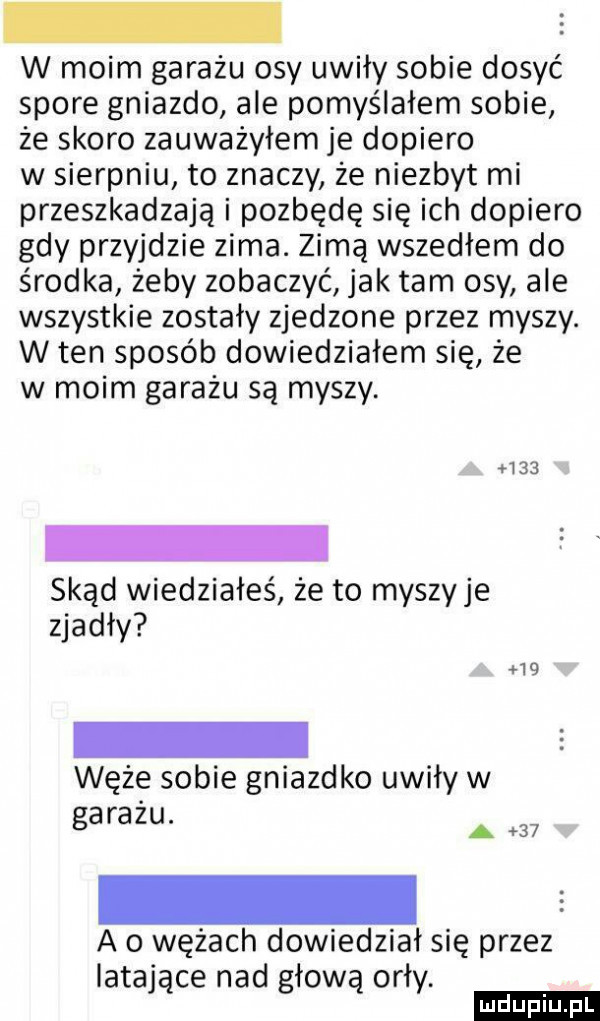 w moim garażu osy uwiły sobie dosyć spore gniazdo ale pomyślałem sobie że skoro zauważyłem je dopiero w sierpniu to znaczy że niezbyt mi przeszkadzają i pozbędę się ich dopiero gdy przyjdzie zima. zimą wszedłem do środka żeby zobaczyć jak tam osy ale wszystkie zostały zjedzone przez myszy. w ten sposób dowiedziałem się że w moim garażu są myszy. h    skąd wiedziałeś że to myszy je zjadły    węże sobie gniazdko uwiły w garażu. a w a o wężach dowiedział się przez latające nad głową orły