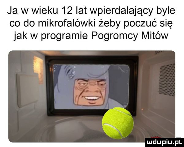 ja w wieku    lat wpierdalajacy byle co do mikrofalówki żeby poczuć się jak w programie pogromcy mitów