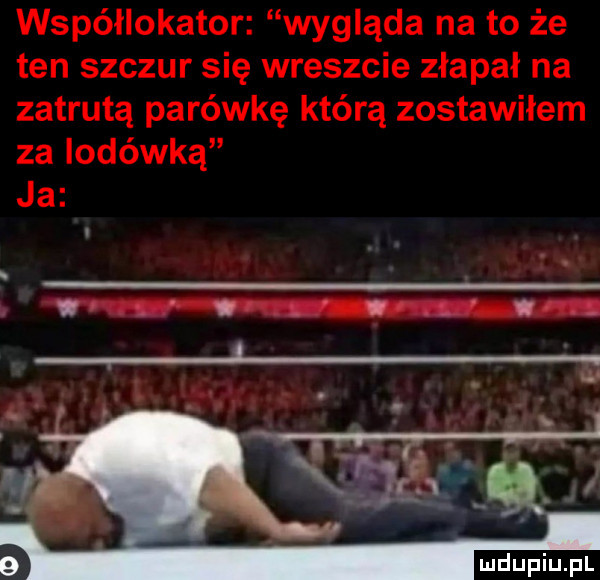współlokator wygląda na to że ten szczur się wreszcie złapał na zatrutą parówkę którą zostawiłem za lodówką ja