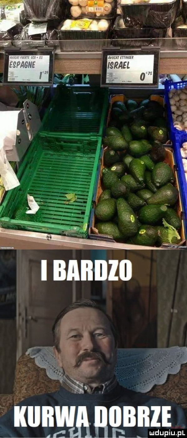 ą. cd i i i i