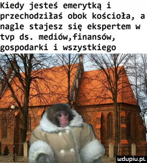 kiedy jesteś emerytką i przechodziłaś obok kościoła a nagle stajesz się ekspertem w tvp ds. mediówńinansów gospodarki i wszystkiego. qdupiupl