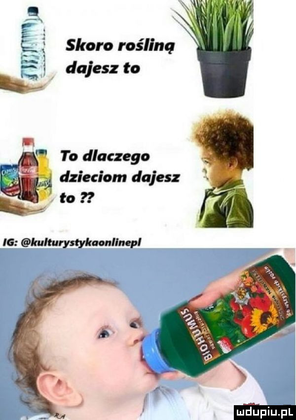 skoro rośliną dajesz to to dlaczego e dzieciom dajesz
