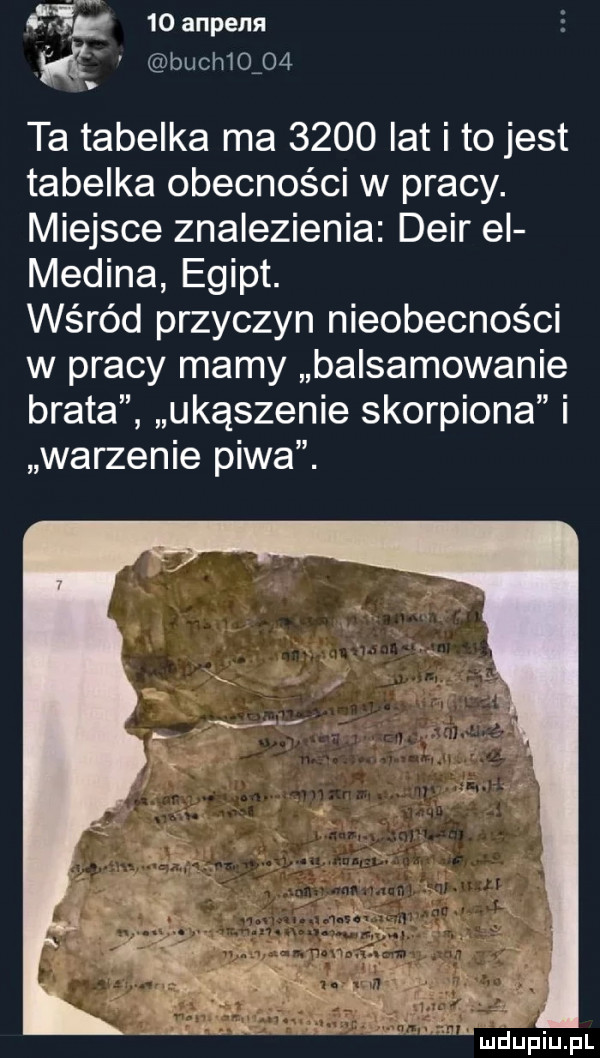 fr    anpensl ke buchioźoćl. ta tabelka ma      lat i to jest tabelka obecności w pracy. miejsce znalezienia debr el medina egipt. wśród przyczyn nieobecności w pracy mamy balsamowanie brata ukąszenie skorpiona i warzenie piwa