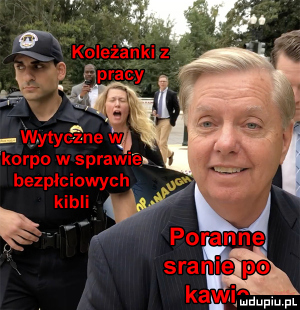 ludupiu pl h a