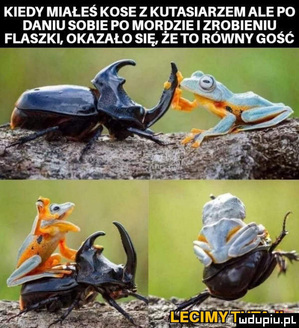 kiedy miałeś kose z kutasiarzem ale po daniu sobie po mordzie i zdobieniu flaszki. okalało się ze tq rowny gośó