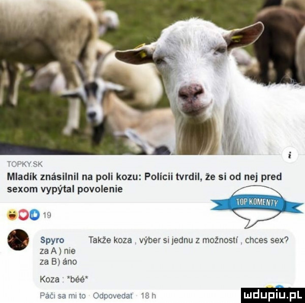 vow sk mladlk znésilnil na poli krzu pollcii tvrdil ze si od naj pled sexom vypytal pobolenie. spyro także koza vy ber s  jeanu z mażnoslf cyces sex za a me za b ano koza bee paćlsa meo odpovedal   h m