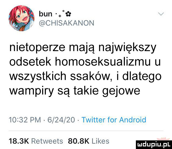 bun ja. chtsakanon nietoperze mają największy odsetek homoseksualizmu u wszystkich ssaków i dlatego wampiry są takie gajowe       pm         twitter for android     k retweets     k limes