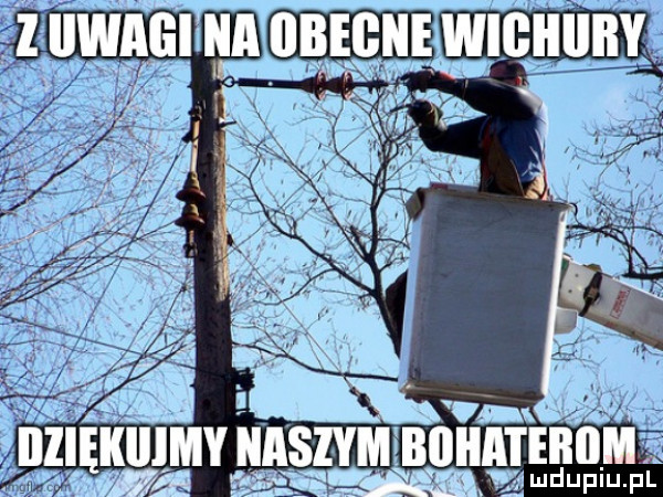 illlęklllmy niszy m biiiii i eiiiim mudupiu. pl
