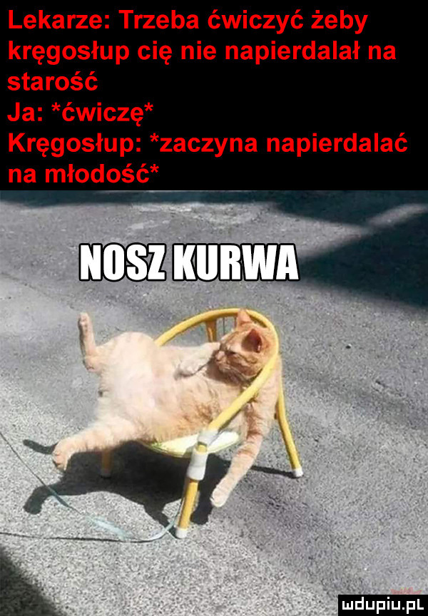 lekarze trzeba ćwiczyć żeby kręgosłup cię nie napierdalał na starość ja ćwiczę kręgosłup zaczyna napierdalać na młodość