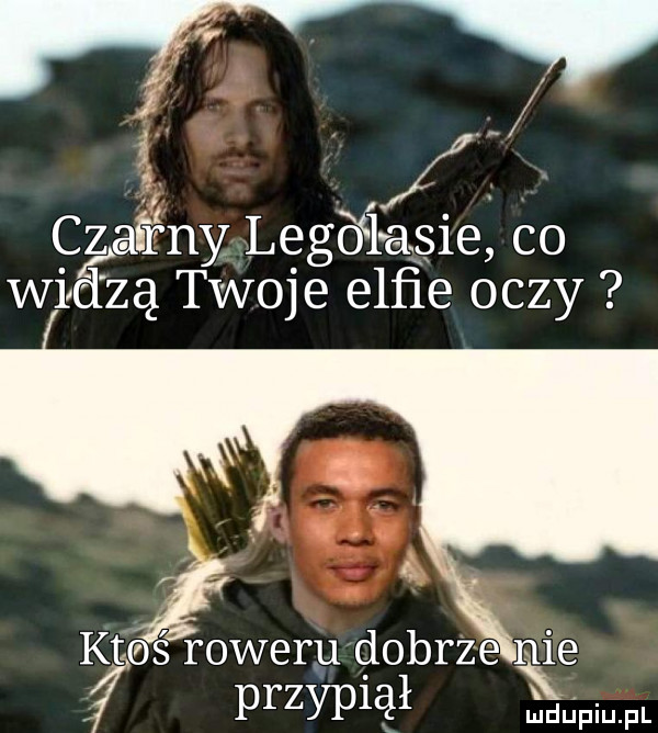 x y. czairny lęgóflasie co widzą twoje elﬁe oczy kaś roweru dobrze lee przypiął