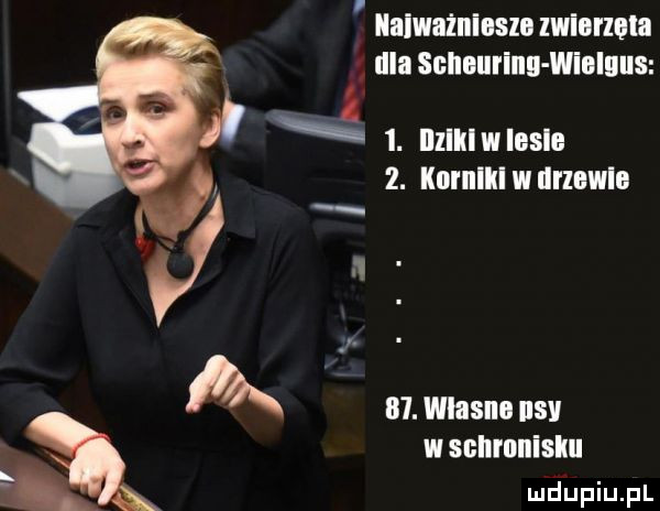 abakankami. abakankami llalwaznlasm momma irla schlﬂrinll willlllls xl i. ilzllllwllosl ż. kai iiiii w dłlllwlll ą.    . wiasiio ihs wsgiii iiiiisiii
