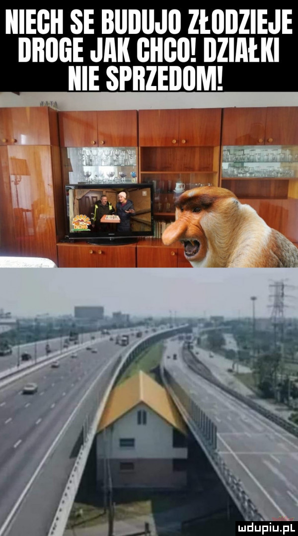 niech se blllllljo złodzieje droge jak  h  działki icie spiizedﬂm