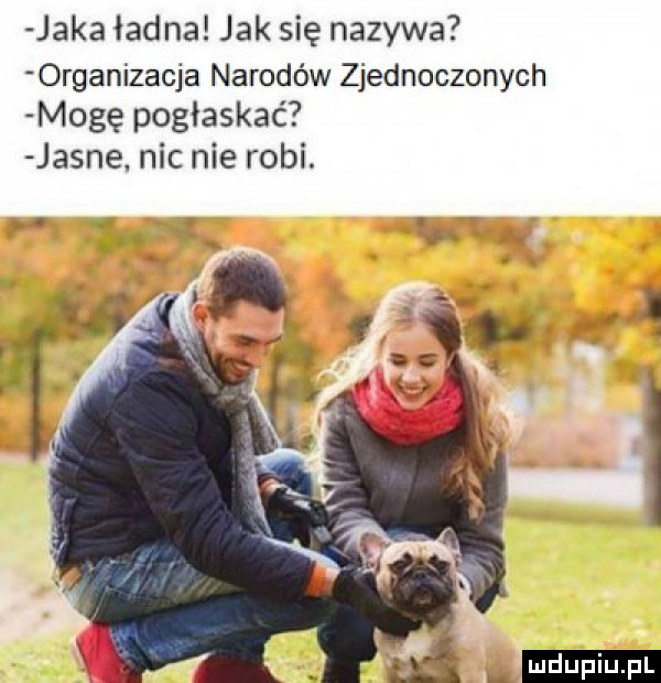 jaka ładna jak się nazywa organizacja narodów zjednoczonych m gę pogłaskać jasne. nic nie robi. ludu iu. l