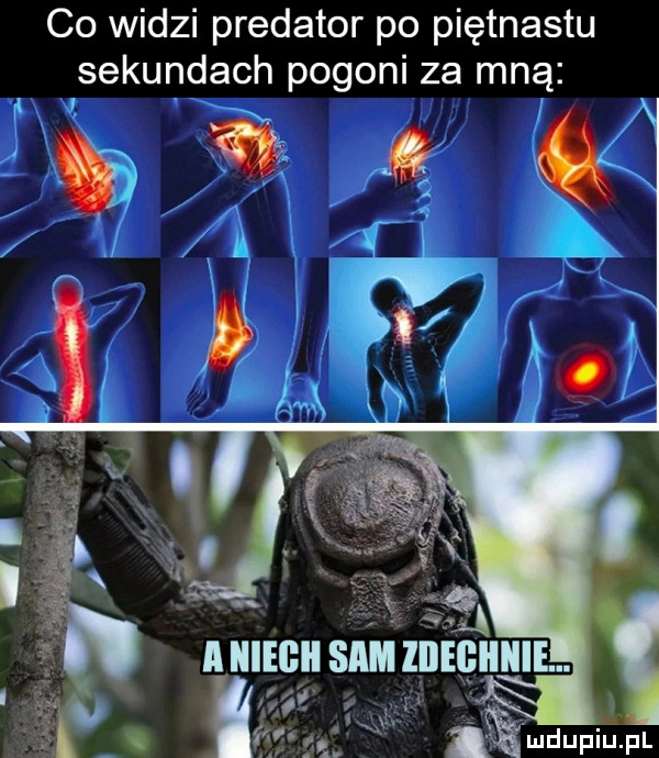 co widzi predator po piętnastu sekundach pogoni za mną