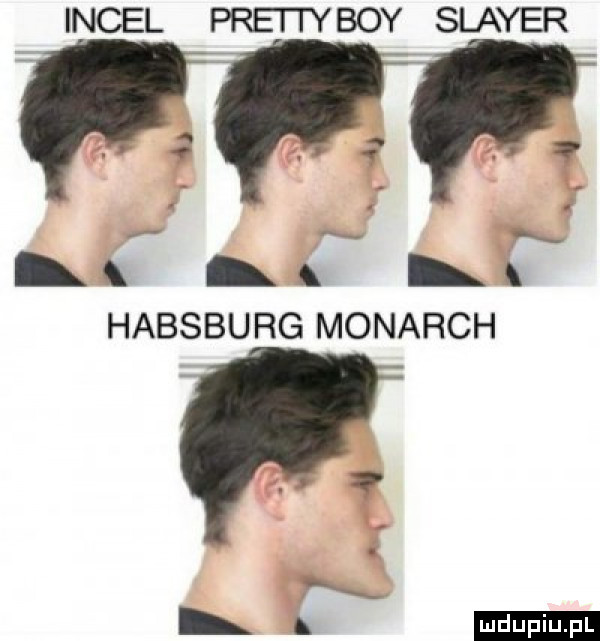 incel prettyboy slamer f. s ł habsburg monarch ludu iu. l