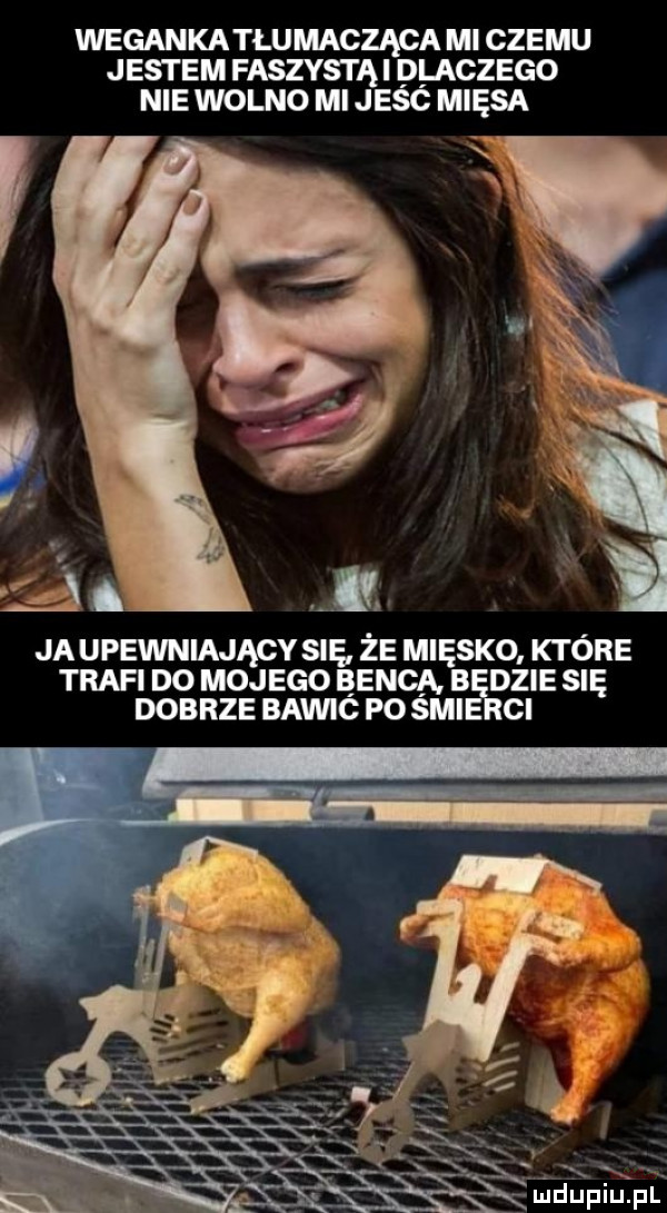 wegankatłumaoząca mi czemu jestem faszystki dlaczego nie wolno mi jesc mięsa ja upewmający sna że mięsko które trafi d  mojego ęenca b dmie się dobrze bawic po sci cl