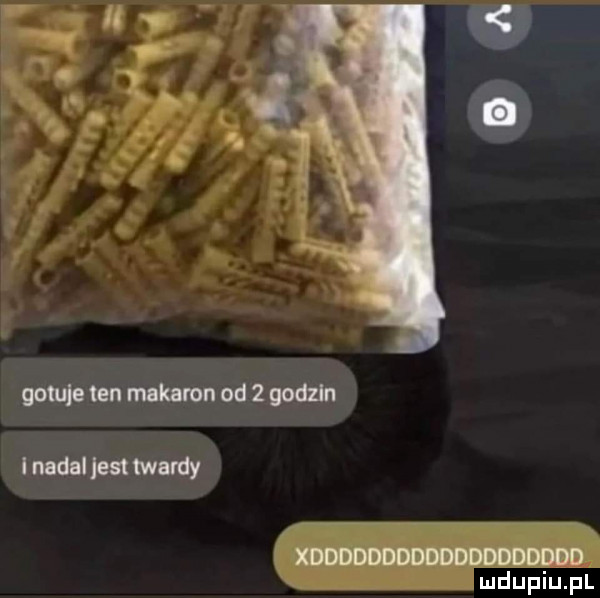 comtenmkamnodzgodzh i nadal jest merdy xdhjdddddddddddddddd ludupiu. pl