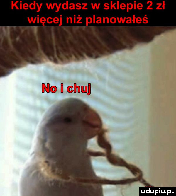 kiedy wydasz w sklepie   zł więcej niż planowałeś mhiniupl