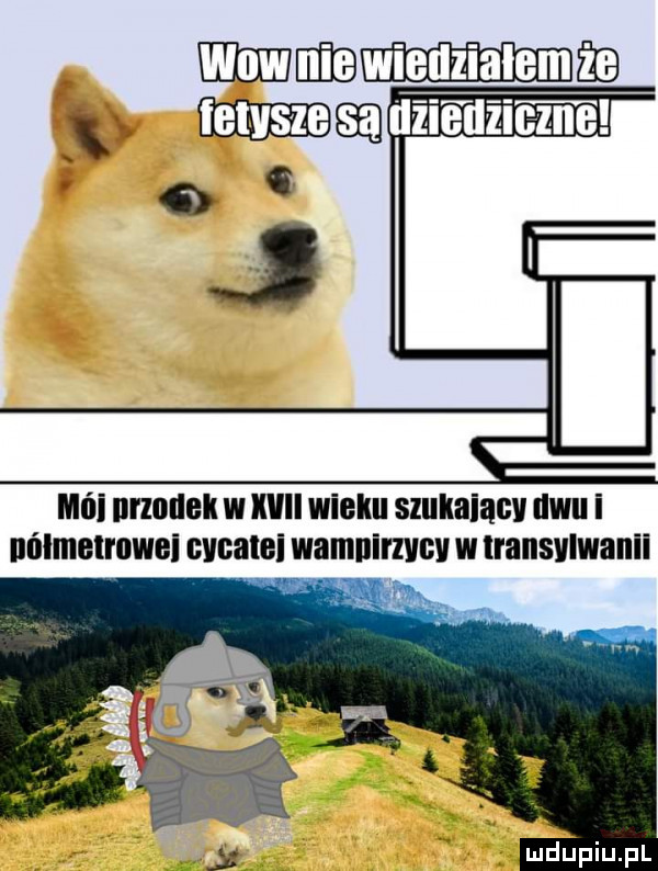 mai nrzmlek w wii wielm szukaiąuv dwu i nńlmelmwei cvcalei wamnirzvcv w transylwanii