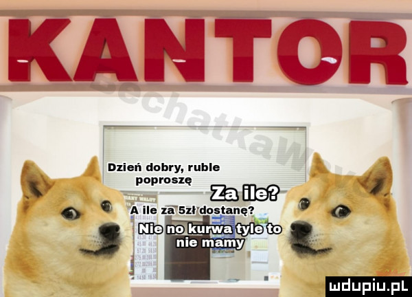 kantor poproszę   zaćm i o c a u za su dostanę. ó rutylehb