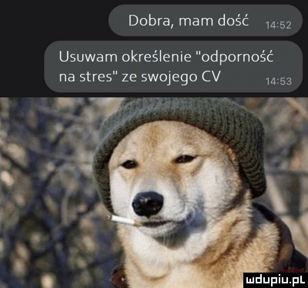 dobra mam dość       usuwam określenie odporność na stres ze swojego cv      . abakankami i  . n i