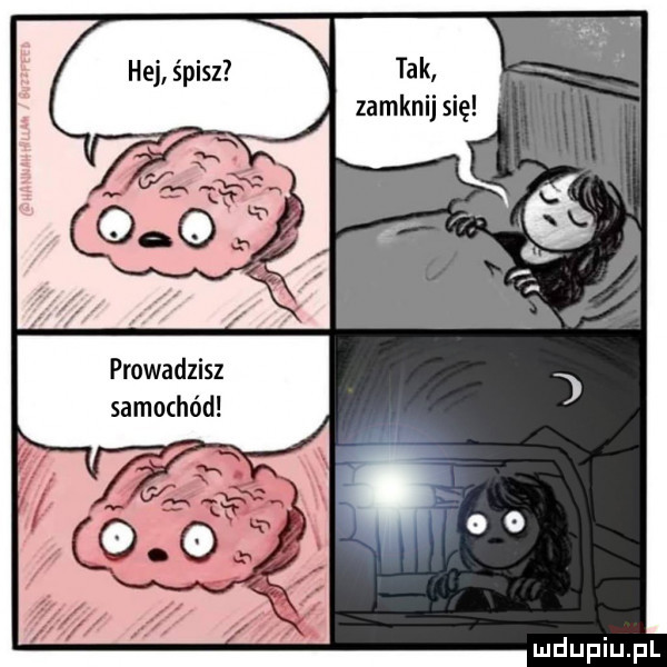 zamknij się prowadzisz samochód