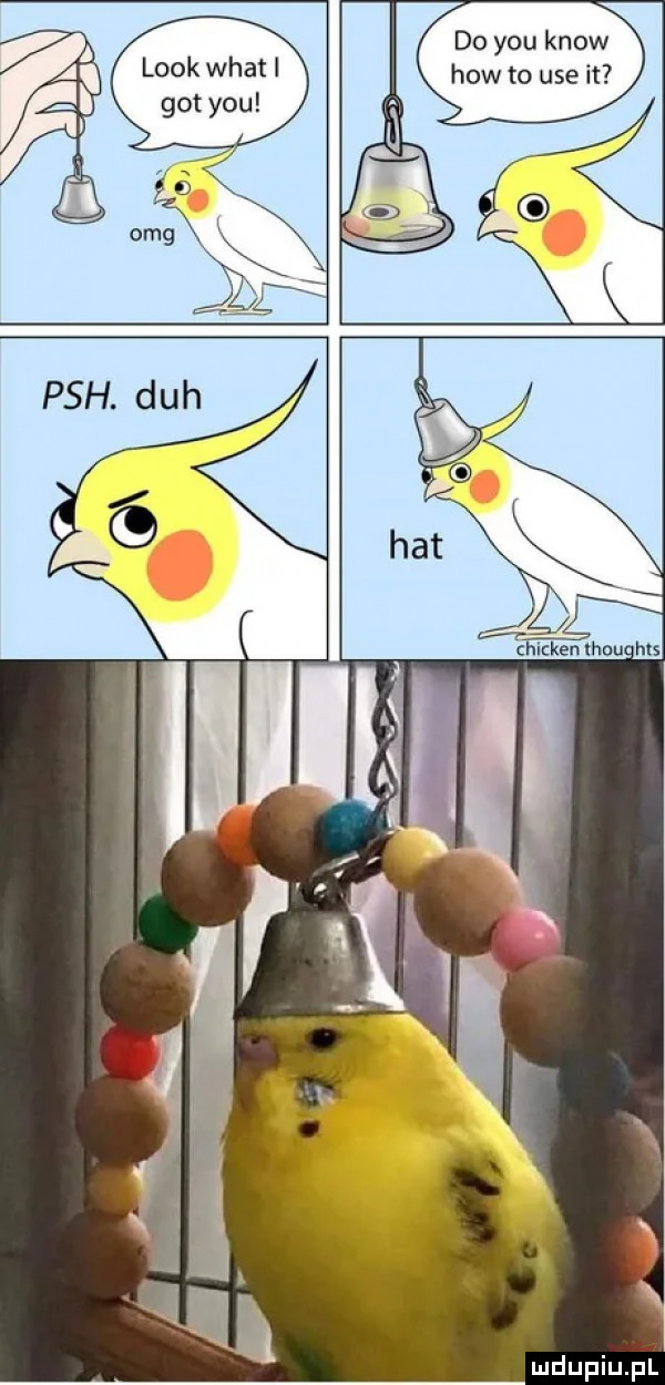 look wiat i got y-u do y-u know hosto ube it   hat   s
