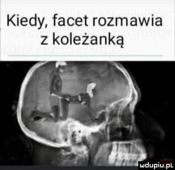 kiedy facet rozmawia z koleżanką