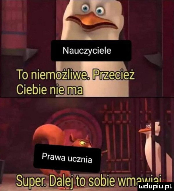 y x ap i. nauczyciele to niemęagżlliwiiei. i pirai ei. ieiiież ciebie nie mm i   prawa ucznia i i v v sup e rlfdaieytoisoble wmagcalw