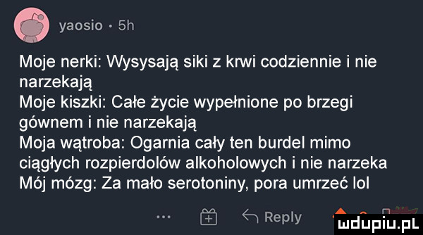 yaosio  h moje nerki wysysają siki z krwi codziennie i nie narzekają moje kiszki cale życie wypełnione po brzegi gównem i nie narzekają moja wątroba ogarnia caly ten burdel mimo ciągłych rozpierdolow alkoholowych i nie narzeka mój mózg za mało serotoniny pora umrzeć ibl a ea repry ludupiupl