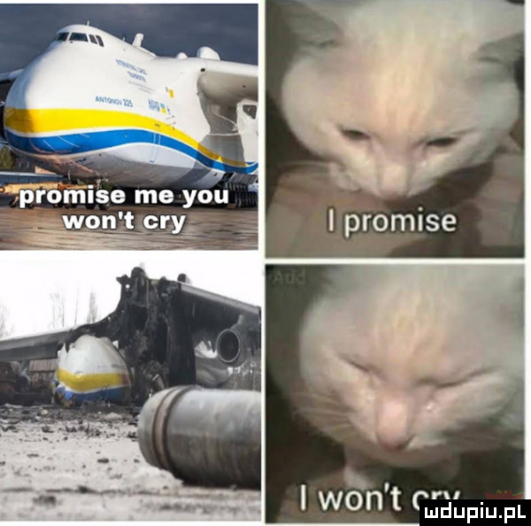 romlśe me y-u won t cny
