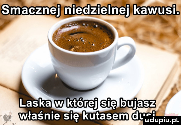 właśnie się kutasem