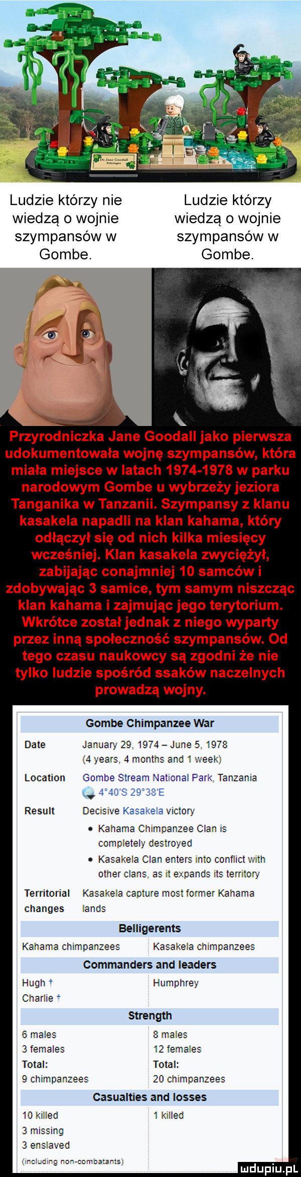 ludzie którzy nie ludzie którzy wiedzą o wojnie wiedzą o wojnie szympansów w szympansów w gombe. gombe. przyrodniczka jane goodall jako pierwsza udokumentowała wojnę szympansów która miała miejsce w latach           w parku narodowym gombe u wybrzeży jeziora tanganika w taczani szympansy z klanu kasakela napadli na klan kahama który odłączył się od nich kilka miesięcy wcześniej. klan kasakela zwyciężył zabijając conajmniej    samców i zdobywając   sa e tym samym niszcząc klan kahama i zajmując jego terytorium. wkrótce zostałjednak z niego wyparty przez inną społeczność szympansów. od tego czasu naukowcy są zgodni że nie tylko ludzie spośród ssaków naczelnych prowadzą wojny. gombe chimpanzee war date jaimar   .      lu e          yeats   rrontrs and i wie location gcmbe stream national rjar tanzania             e result dec   ve kasalxela victory. ks rama cmmoan comoeteiy sar kiss ea chan enters v to cen rat v mch diner claus ss itemami e retory territorial kaaakela capture rrost order kaima changes lanos belligerents kala na chimpanzees kasarela n oanzees commanders and leaders l uch t humphrey cnarhe strength   miles   miles   females    lemales total total   cnimparzees    ccirroanzees casualties and losses   kilietl   i led   mlssmg   enslave c r c w ccc bata ls