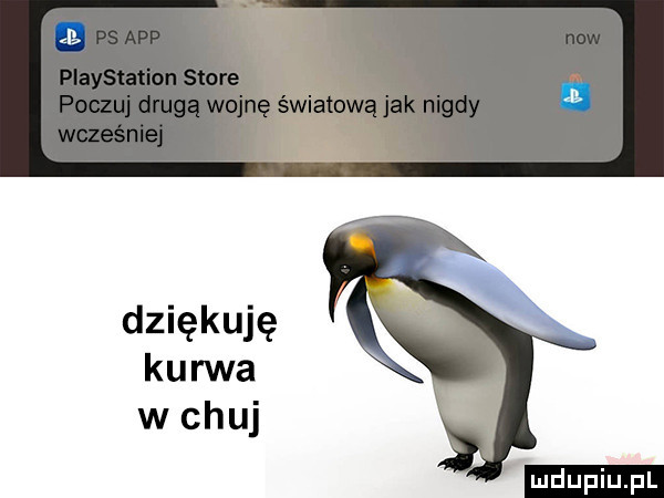 dziękuję kurwa w chuj ludu iu. l
