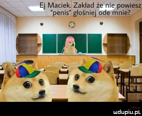 ej maciek. zakład że nie powiesz penis głośniej ode mnie