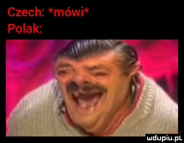 Obrazek