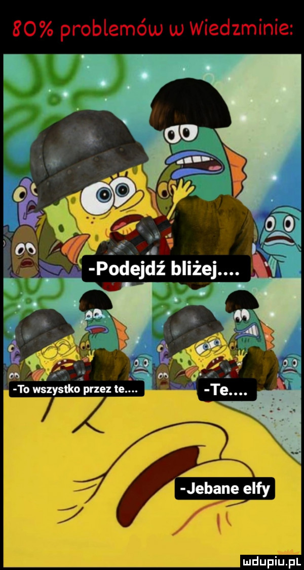 abakankami ejdź bliżej. jebane elfy
