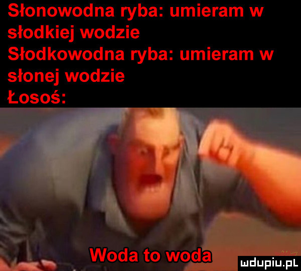 słonowodna ryba umieram w słodkiej wodzie słodkowodna ryba umieram w słonej wodzie łosoś n. wodato ma