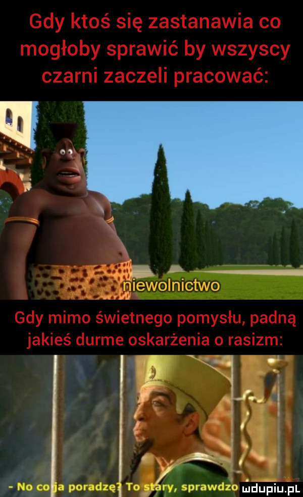 w. rn.   i jdupiupl