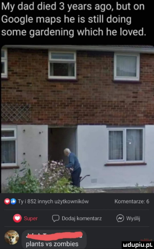 my ddd dred   yeats ago but on google mbps he is stall doing some gardening which he loved. abakankami tai   innych użytkowników komentarze  . super o dodaj komentarz wyślij plants vs zombies