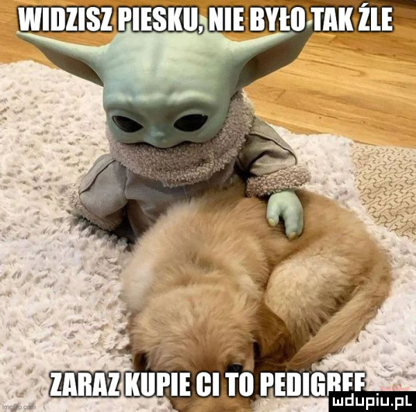 Obrazek