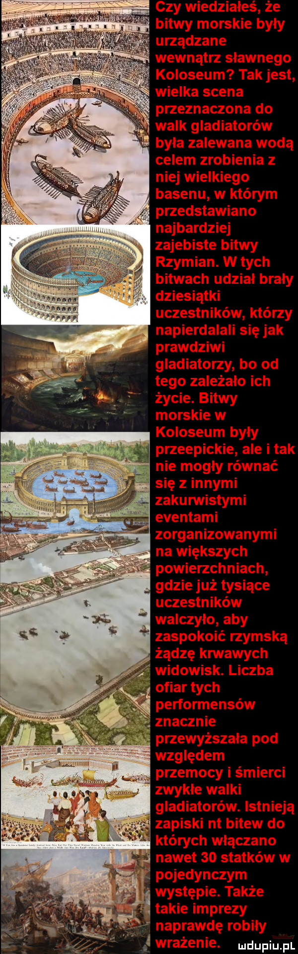 Obrazek